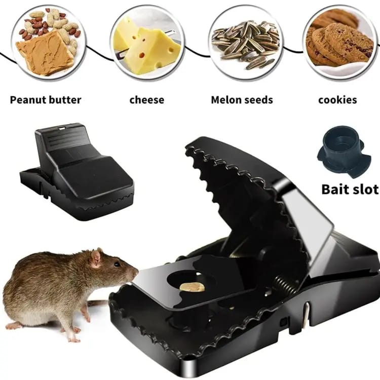 Heavy-Duty Black Mouse Trap 🐭💥 | Safe, Reusable