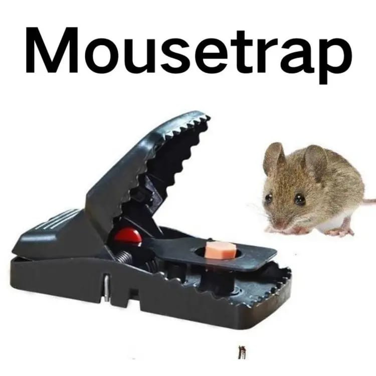 Heavy-Duty Black Mouse Trap 🐭💥 | Safe, Reusable